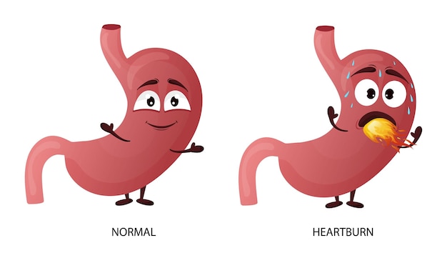 Cartoon stomach character Concept of healthy and diseased internal organ heartburn Vector illustration isolated white background