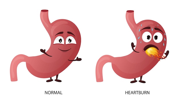 Мультипликационный персонаж желудка Концепция изжоги здоровых и больных внутренних органов Векторная иллюстрация изолированный белый фон