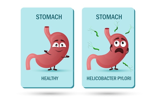 Cartoon stomach character Concept healthy internal organ and affected helicobacter pylori Vector illustration isolated white background