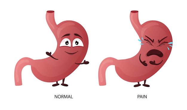 Вектор Мультипликационный персонаж желудка концепция здоровых и больных внутренних органов эмоции боли векторная иллюстрация изолированный белый фон