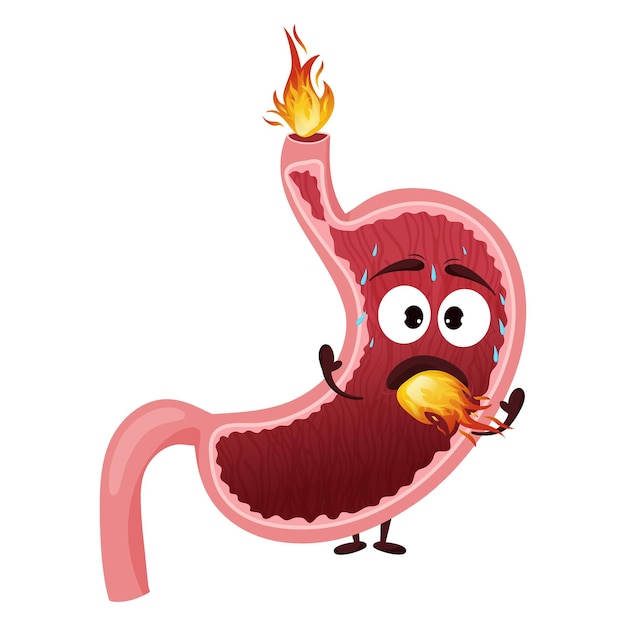 Cartoon stomach character with heartburn gastritis symptom Vector illustration cartoon style