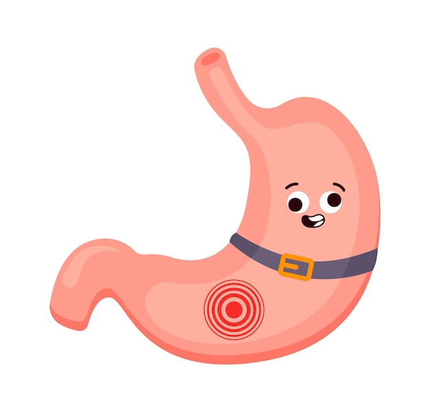 Cartoon stomach flat icon Human digestive internal organ