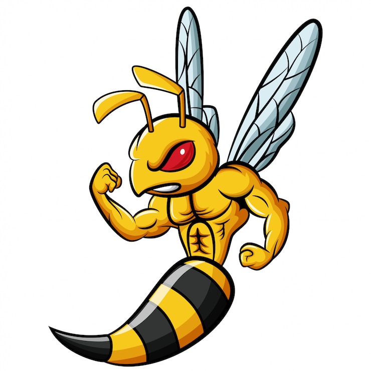 Vector cartoon strong bee mascot character