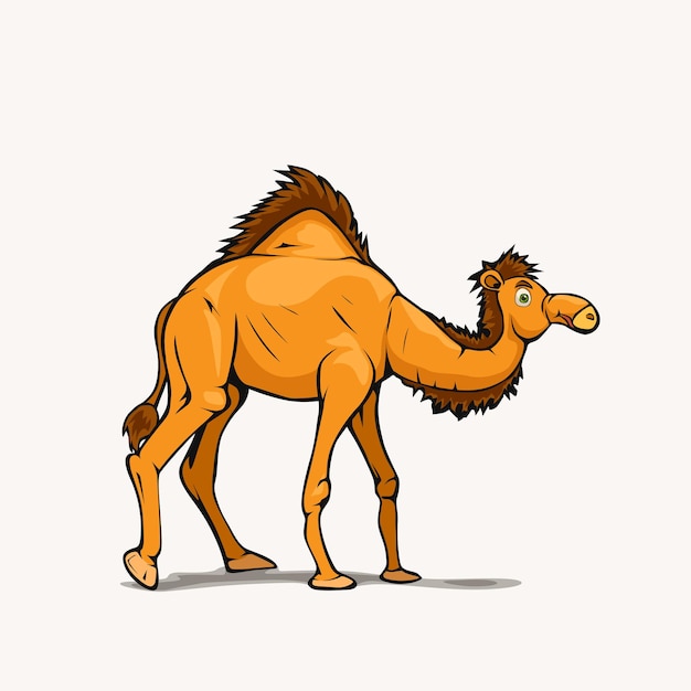 Cartoon style arabic camel on white back