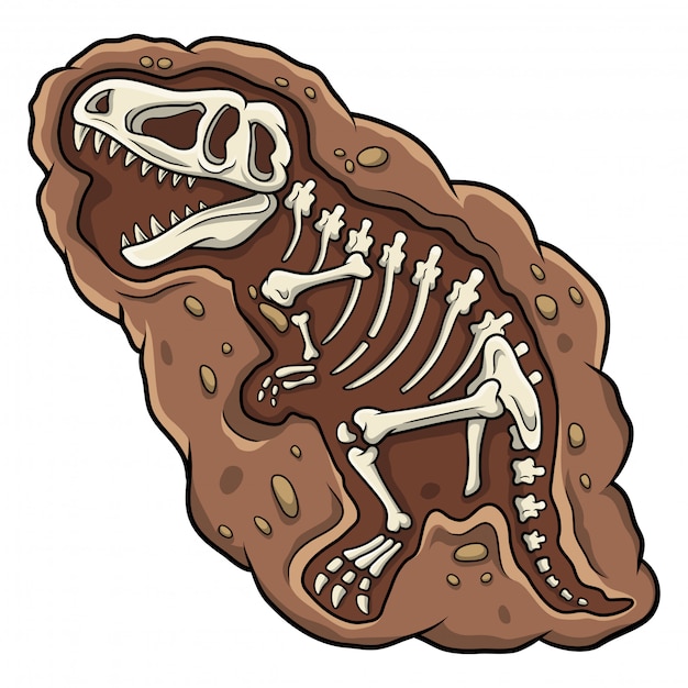 Vector cartoon t-rex dinosaur fossil