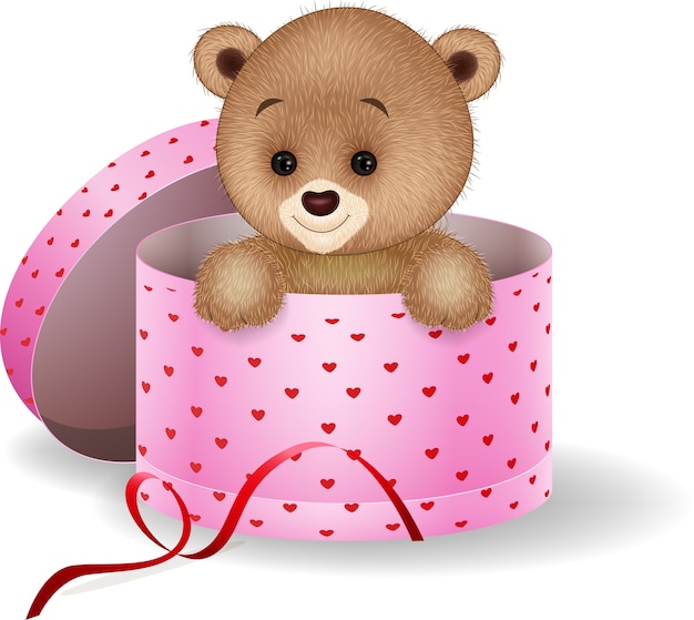 Cartoon teddy bear in the gift box