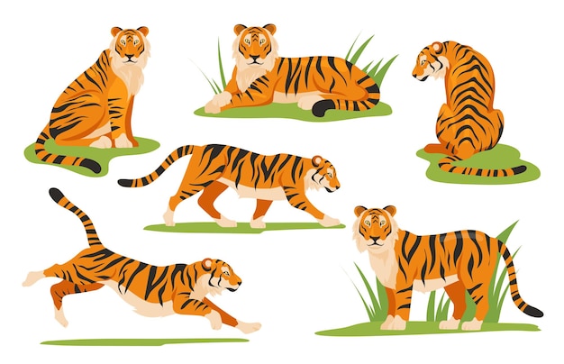 Vector cartoon tiger set