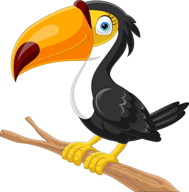 Cartoon toucan bird op boomtak