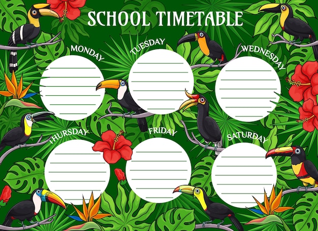 만화 큰부리새 교육 시간표 일정입니다. 열대 야자수 잎과 꽃을 가진 학생을 위한 학교 벡터 주간 템플릿입니다. 이국적인 정글 히비스커스 꽃과 큰부리새가 있는 시간표 수업