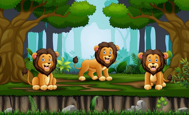 Vector cartoon tree lions enjoying in the jungle