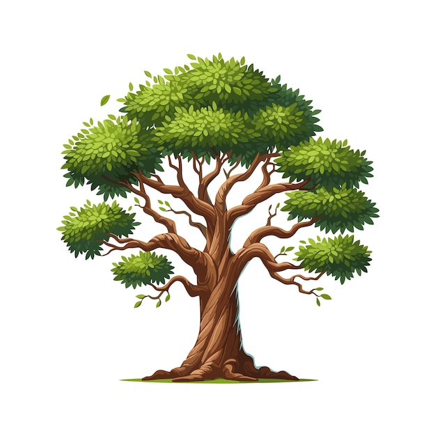 cartoon tree vector illustration