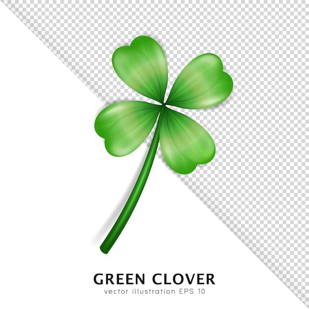 Cartoon trefoil as an Irish symbol Realistic green clover shramrock