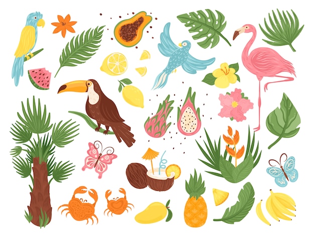 Cartoon tropical exotic elements  illustration set,  collection with jungle bird, palm tree leaves and flowers, coconut fruit