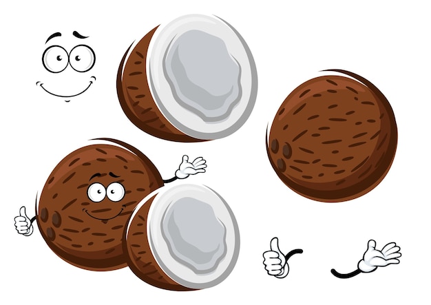 Vector cartoon tropical fresh coconut fruit