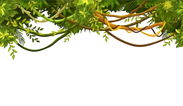 Vector cartoon tropical jungles liana branch background