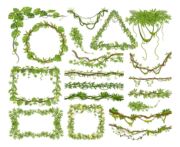 만화 열 대 등나무 식물 등반 덩굴 가지 벡터 일러스트 레이 션 세트