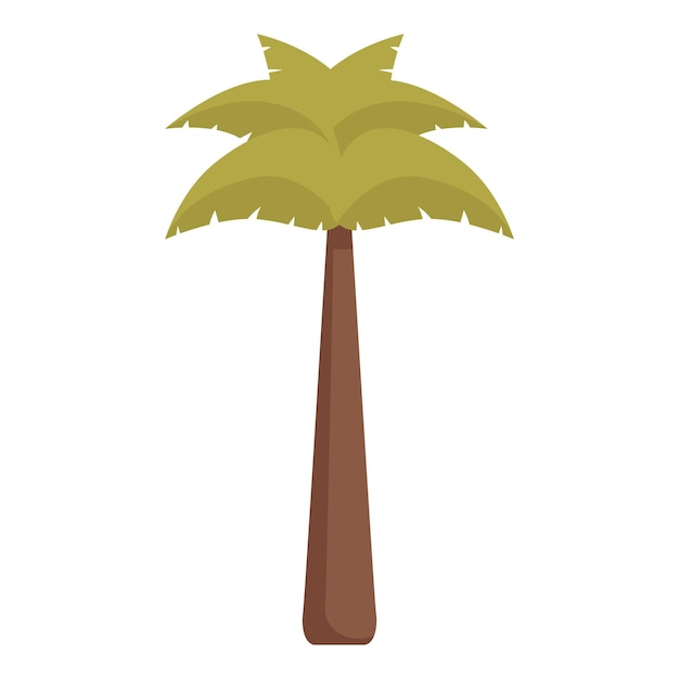 Vector cartoon tropical palm tree isolated on white