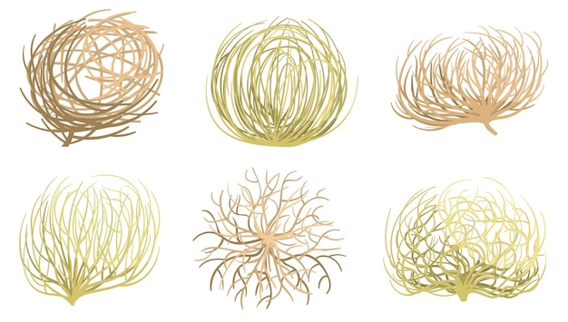 Cartoon tumbleweed Western valleys and deserts plant rolling dry tumble weed ball roots vector set
