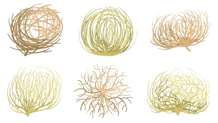 Vector cartoon tumbleweed western valleys and deserts plant rolling dry tumble weed ball roots vector set