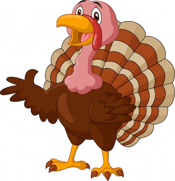 Vector cartoon turkey presenting on white background