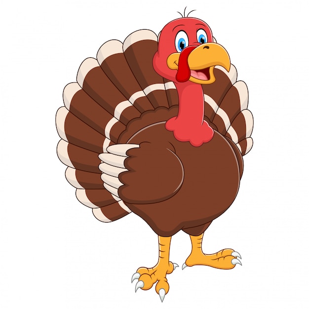 Cartoon turkey standing on white  