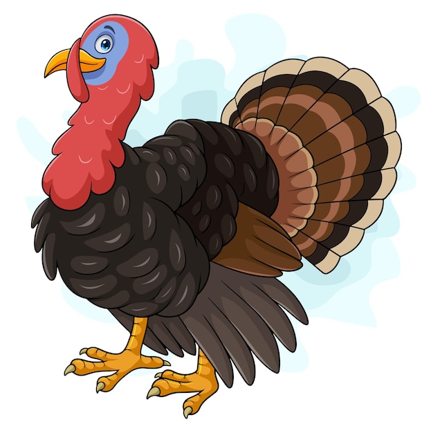 Vector cartoon turkey on white background