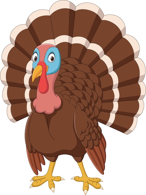 Vector cartoon turkey on white background