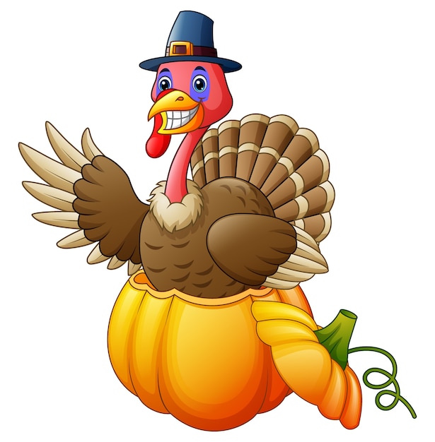 Vector cartoon turkey with pilgrim hat in the pumpkin