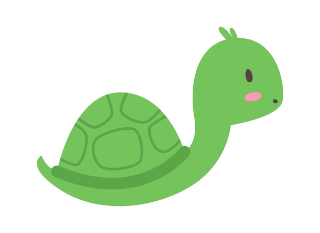 Cartoon Turtle Animal