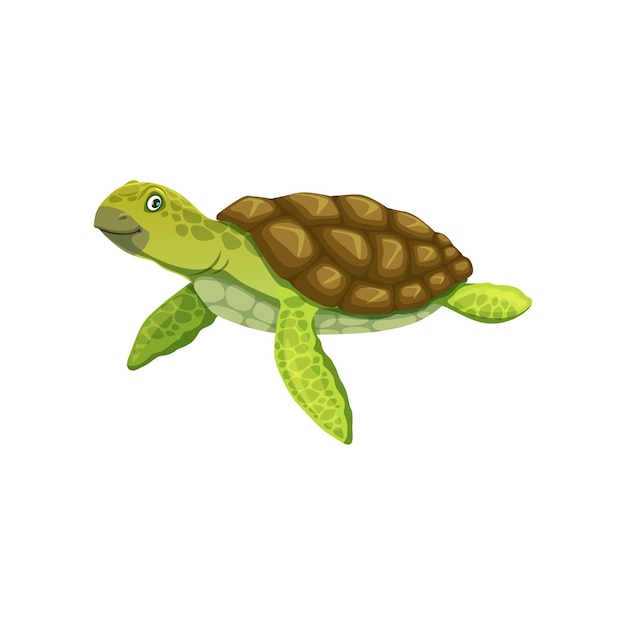 Cartoon turtle personage cute vector tortoise