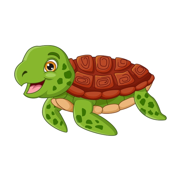 Cartoon turtle on white background