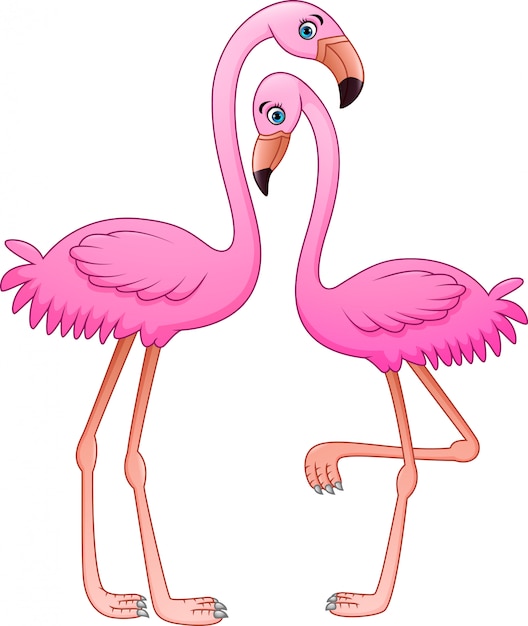Cartoon twee roze flamingo op witte achtergrond