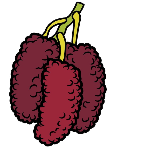 a cartoon of two raspberries with one ripe and one unripe