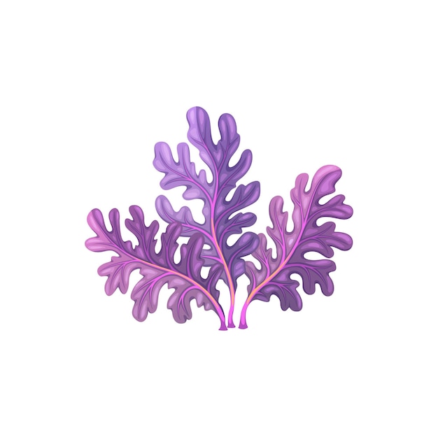 Cartoon underwater carrageenan moss seaweed algae