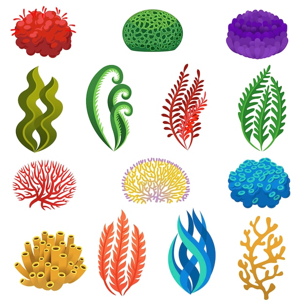 Vector cartoon underwater reef plants and animals