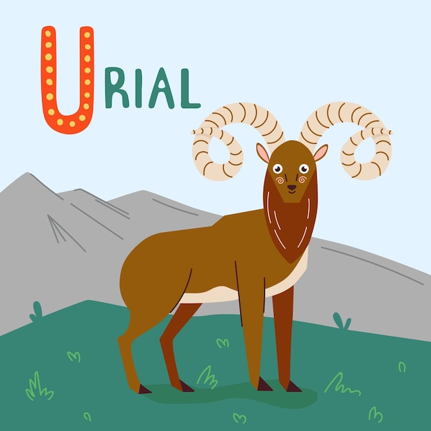A cartoon urial with long curly horns vector illustration in green grass on mountains