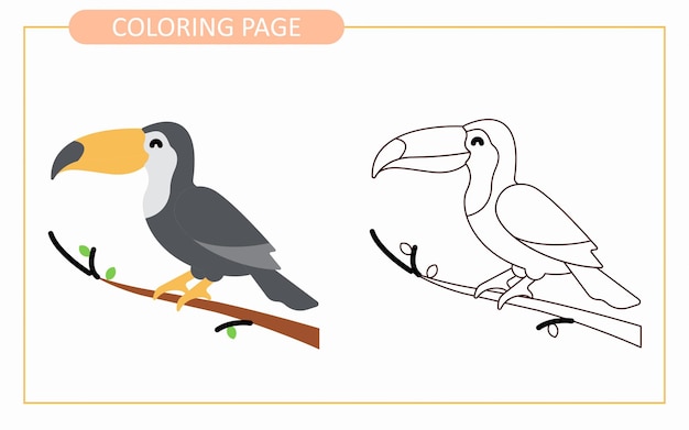 Cartoon van Toucan bird kinderen kleurboek of pagina