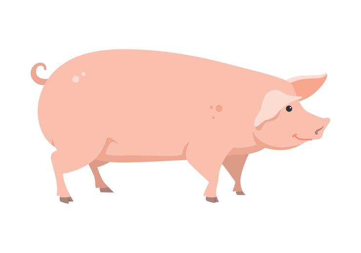 Vector cartoon varken, vector