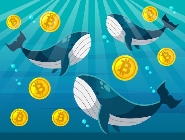 Cartoon vector flat design illustration of whale with bitcoin blockchain illustration