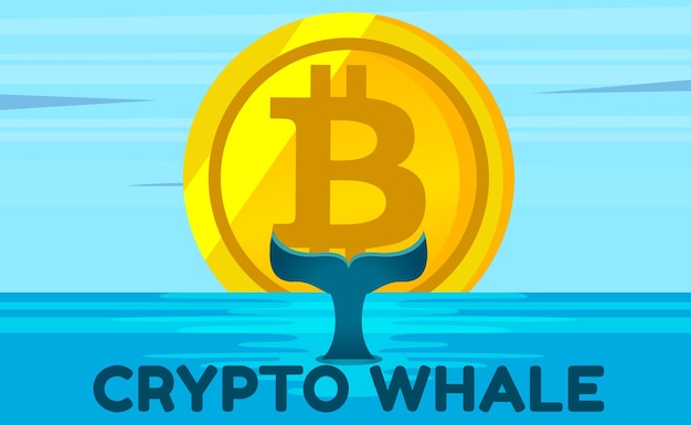 Cartoon vector flat design illustration of whale with bitcoin blockchain and NFT token Bitcoin whale illustration with whale tail in ocean Big investor trader in cryptocurrency market