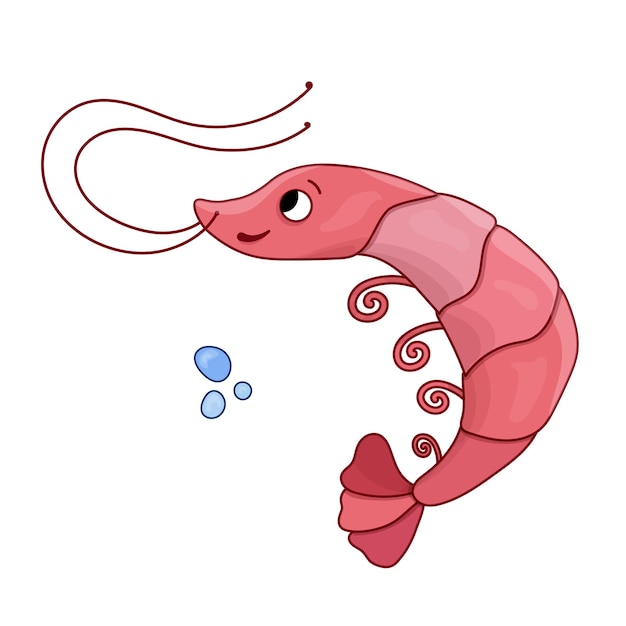 Cartoon vector illustration pink shrimp Ocean dweller Nautical isolated shrimp sea animal concept