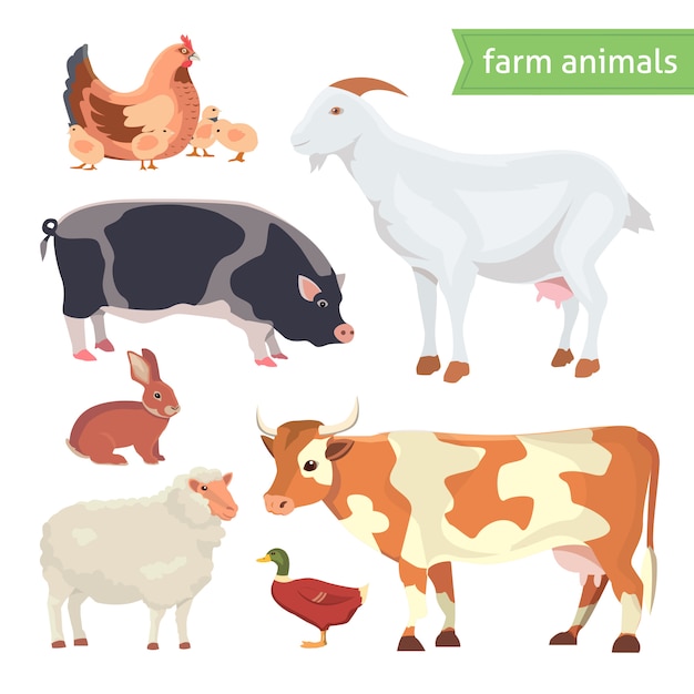 Vector cartoon vector illustration set of  farm animals isolated on white