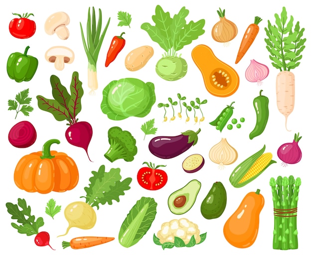 Vector cartoon vegetables. vegan veggies food, tomato, pumpkin, zucchini and carrot, vegetarian fresh raw vegetable  illustration icons set. vegetarian zucchini and carrot, pumpkin vegetable