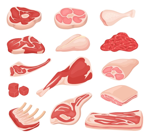 Cartoon vers vlees Rauw rundvlees lam been steak rack van varkensribbetjes gehakt spek vector set