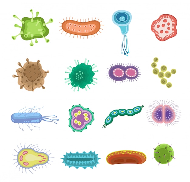 Vettore set di virus e batteri del fumetto. illustrazione microscopica di cellule, batteri e microrganismi. isolato su uno sfondo bianco.