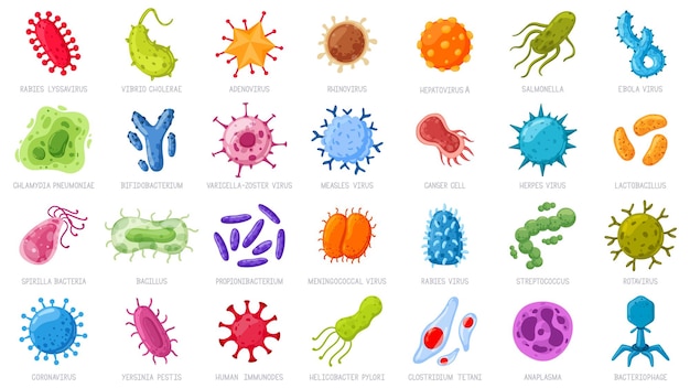 Vector cartoon viruses and microbes