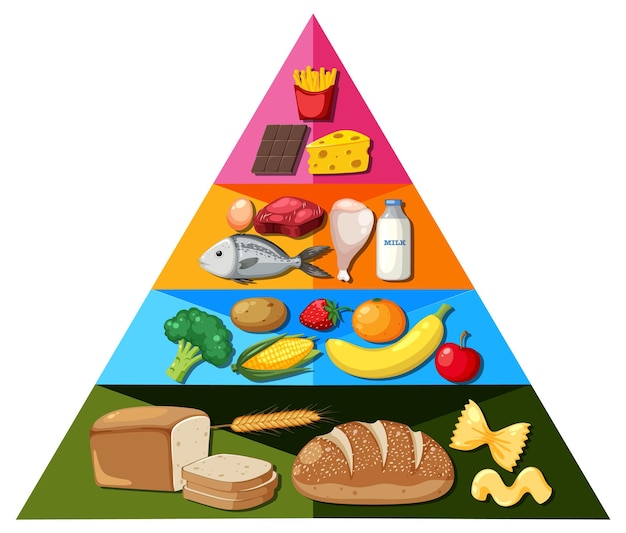 Vector cartoon voedselpiramide infographic een visuele gids voor voeding