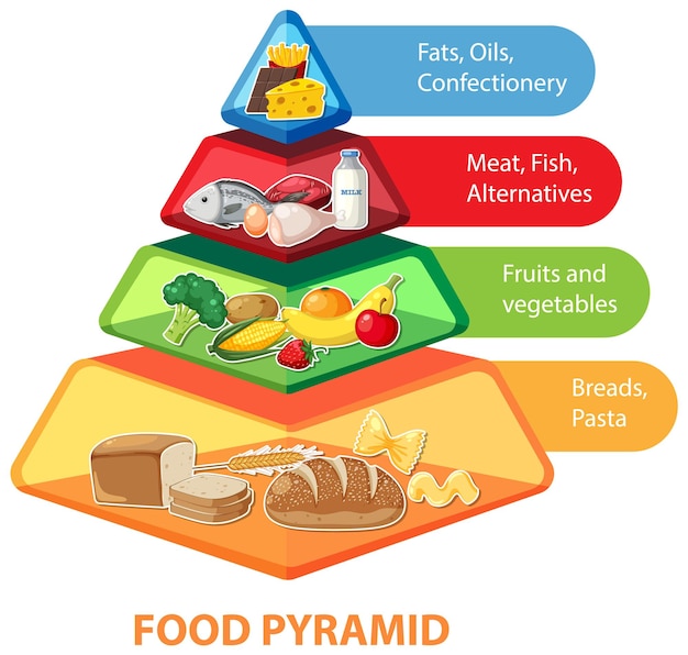 Cartoon voedselpiramide Infographic met voedingsdiagram