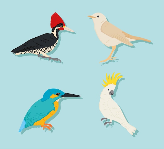 Vector cartoon vogels pictogramserie