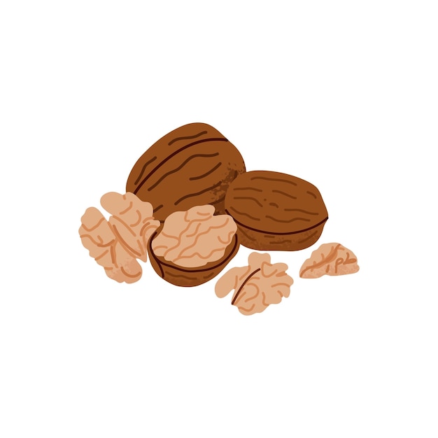 Cartoon walnoot Noten in schil en gepelde stukken Gezond voedsel Diet snack Biologisch vegetarisch element Hele en halve Natuurlijke plantaardige ingrediënt verpakkingsontwerp Vector geïsoleerde illustratie